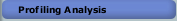 Profiling Analysis